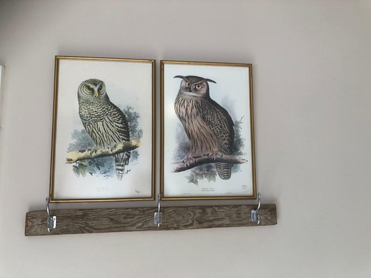 Villa Lavender Trout Guest Farm Nottingham Road Esterno foto